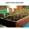 Kép 14/20 - Kézi talajblokkoló, 2 hüvelykes talajtömb-készítő talajtömítő eszköz dörzsölőkkel és 50 darabos újrafelhasználható növényi címkekert jelölővel a kert előkészítéséhez