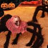 Kép 5/10 - Halloween óriás valósághű szőrös pók kellék bulihoz terasz füves kerti bár kísértetházi dekorációhoz - Minta 1