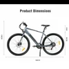 Kép 8/14 - AVAKA R3 700C 350W elektromos kerékpár pedálasszisztenssel - Fehér