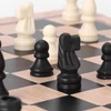 Kép 7/17 - Összecsukható három az egyben sakktábla készlet - S méret