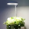 Kép 3/10 - Növénytermesztési fényerősség szabályozó, 2/4/8 órás időzítésű mini körkörös LED-lámpa beltéri növényekhez