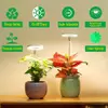 Kép 8/10 - Növénytermesztési fényerősség szabályozó, 2/4/8 órás időzítésű mini körkörös LED-lámpa beltéri növényekhez