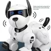 Kép 4/8 - Távirányító Intelligens programozó Robotjárőr kutya