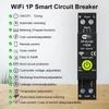 Kép 7/10 - Tuya WiFi intelligens áramköri megszakító BE KI Időzítés Fotovoltaikus kétirányú mérő Energiamérő Automatikus visszazárás védő méréssel és előre fizetett funkcióval