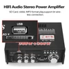 Kép 3/10 - 12V/ 220V Mini 2CH LCD kijelző HIFI audio sztereó végerősítő BT FM rádió hordozható autós otthon 600W távirányítóval - Típus 2