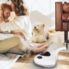 Kép 6/8 - Antiallergén matracporszívó UV fényben mosható HEPA szűrővel 9 kPa szívás 300 W szövetfelületekre