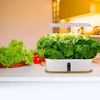 Kép 6/9 - Hidroponikus termesztőrendszer beltéri kertben, 10 hüvelyes, 20 W-os 72 LED-es növekedési fény, teljes spektrumú, állítható magasságú, csendes, intelligens szivattyús csíráztató készlet - Fehér