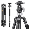 Kép 2/13 - K&F CONCEPT szénszálas kamera állvány, monopod, BH-30 rugalmas gömbfejjel