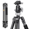 Kép 3/13 - K&F CONCEPT szénszálas kamera állvány, monopod, BH-30 rugalmas gömbfejjel