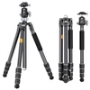 Kép 4/14 - K&F CONCEPT szénszálas kamera állvány, monopod, BH-36 rugalmas gömbfejjel