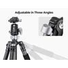 Kép 10/14 - K&F CONCEPT szénszálas kamera állvány, monopod, BH-36 rugalmas gömbfejjel