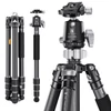 Kép 1/14 - K&F CONCEPT szénszálas kamera állvány, monopod, BH-36 rugalmas gömbfejjel