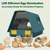 Kép 2/11 - Inkubátor keltetőtojásokhoz Automatikus tojásforgató 10-28 tojás LED-es hatékony tojás, megvilágított kijelző