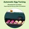 Kép 6/11 - Inkubátor keltetőtojásokhoz Automatikus tojásforgató 10-28 tojás LED-es hatékony tojás, megvilágított kijelző