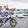 Kép 19/20 - SAMEBIKE LOTDM200-II E-bike 20 * 4,0 hüvelykes zsíros gumiabroncs, összecsukható elektromos kerékpár - Fehér