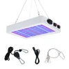 Kép 11/11 - Növekvő fény beltéri növények számára, teljes spektrumú - 216 LED-es