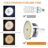 Kép 7/7 - Stúdió LED lámpakészlet, 3000K-6000K LED lámpa