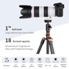 Kép 3/10 - K&F CONCEPT BH-28L gömbfejű állványra szerelhető adapter
