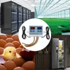 Kép 4/12 - Kettős digitális termosztát, hőmérséklet-szabályozó, két relé kimenetű hőszabályozó - AC110-220V