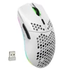 Kép 12/20 - HXSJ T66 RGB 2.4G vezeték nélküli gamer egér, RGB világítás, tölthető, állítható DPI, ergonomikus - Fehér