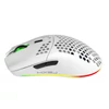Kép 19/20 - HXSJ T66 RGB 2.4G vezeték nélküli gamer egér, RGB világítás, tölthető, állítható DPI, ergonomikus - Fehér