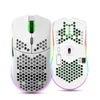 Kép 20/20 - HXSJ T66 RGB 2.4G vezeték nélküli gamer egér, RGB világítás, tölthető, állítható DPI, ergonomikus - Fehér