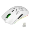 Kép 1/20 - HXSJ T66 RGB 2.4G vezeték nélküli gamer egér, RGB világítás, tölthető, állítható DPI, ergonomikus - Fehér