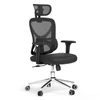 Kép 2/15 - ACGAM CG-5345M ergonomikus irodai szék, 90–130° dönthető háttámla, 3D kartámasz, fejtámla, deréktámasz, hálós, memóriahab, 150 kg