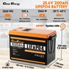 Kép 2/6 - Cloudenergy 24V 100Ah LiFePO4 akkumulátorcsomag tartalék áramellátáshoz, 2560Wh, 6000+ ciklus, 100A BMS, LCD, soros/párhuzamos, RV, hajó, napelem, off-grid
