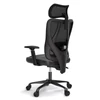 Kép 5/16 - ACGAM CG-5455M ergonomikus gamer irodai szék, PVC ülőpárna, állítható karfa és fejtámla, 4D deréktámasz, szinkron dönthető háttámla