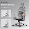 Kép 2/7 - NEWTRAL NT002 ergonomikus irodai szék lábtartóval, fejtámlával, adaptív deréktámasszal és 4D kartámasszal – Szürke