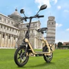 Kép 7/20 - TWOFISH M5 Elite‑E EEC minősített elektromos roller üléssel és kosárral, 500W motorral, 48V 13Ah akkumulátorral, 40km/h, 30km hatótáv – Bézs