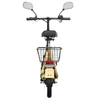 Kép 13/20 - TWOFISH M5 Elite‑E EEC minősített elektromos roller üléssel és kosárral, 500W motorral, 48V 13Ah akkumulátorral, 40km/h, 30km hatótáv – Bézs