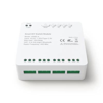 Tuya WiFi intelligens kapcsolómodul, kompakt otthoni időzítés, hangvezérlés, APP távirányító - Típus 1