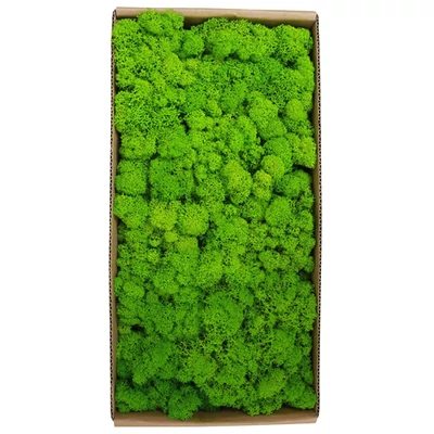 Tartósított moha fali dekoráció, valódi konzervált moha, karbantartást nem igényel - Típus 5