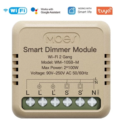 Tuya WiFi intelligens kapcsoló dimmer, DIY modul fénykapcsoló, mobiltelefon, APP távirányító - WM-105B-M (önvisszaállító kapcsoló, 2 fázis)