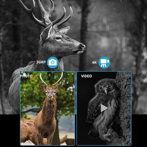 36 MP 4K digitális infravörös éjjellátó távcső 3,2 hüvelykes LCD képernyővel, 250-300 m látótávolság barlangászáshoz madármegfigyeléshez, éjszakai vadászathoz