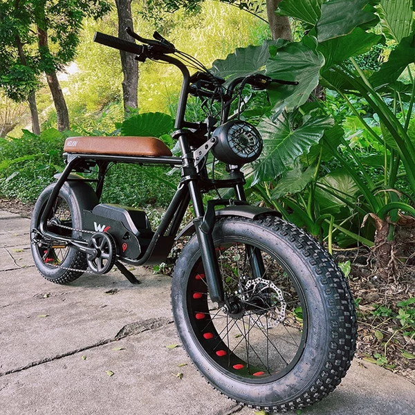 WELKIN WKEM003 20*4,0 hüvelykes vastag gumiabroncsok Retro 1200W motoros elektromos kerékpár - Fekete