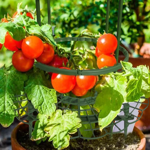 YEGBONG Strawberry kúszó növény támasz karókkal zöldség palántákhoz