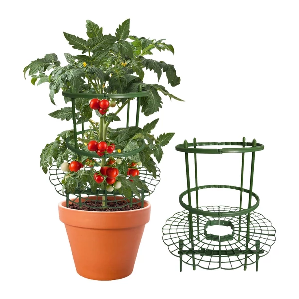 YEGBONG Strawberry kúszó növény támasz karókkal zöldség palántákhoz