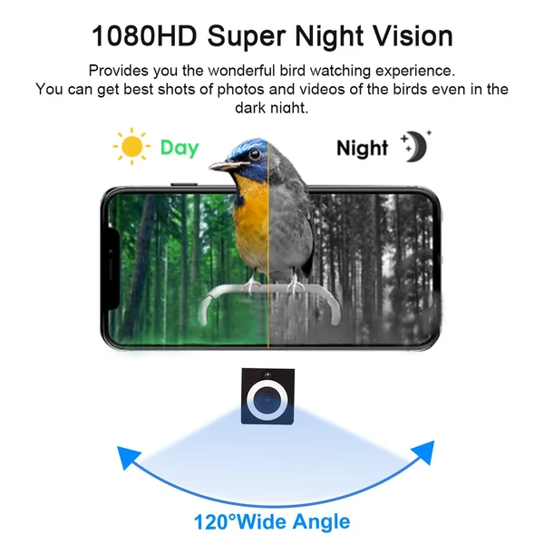 Napenergiával működő intelligens madáretető 1080p HD éjjellátó kamerával, mesterséges intelligencia madárfajetetővel, IP65 vízálló (TF kártyával) - Narancs