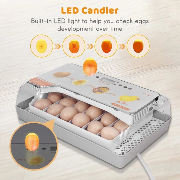 Digitális 20 tojásos baromfikeltető automata tojásforgató hőmérséklet-szabályozással, LED-es fény-hőmérséklet páratartalom riasztó csirke, kacsa, madártojás számára