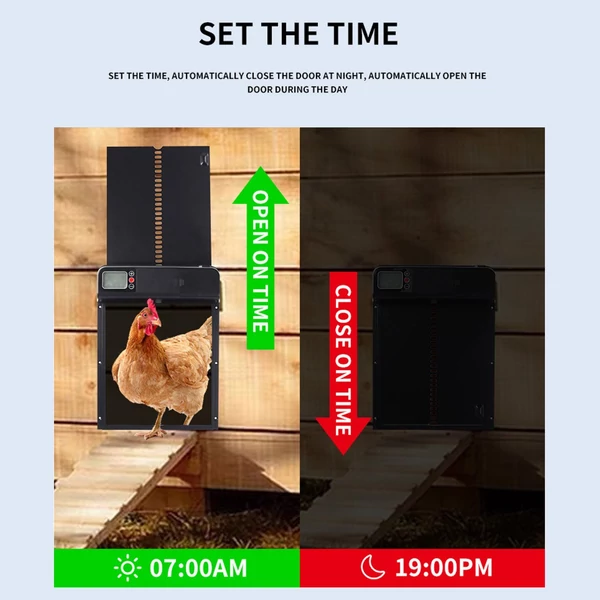 Automata csirke ól elektromos ajtónyitó IP44 vízálló akkumulátorral, érzékelővel, időzítővel és LCD kijelzővel, becsípődésgátló funkció