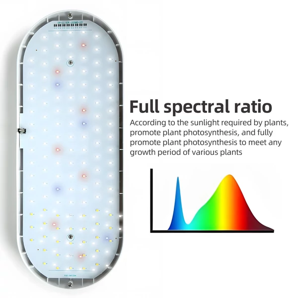 LED teljes spektrumú növekedési fény 10 W állítható magasságú beltéri növényekhez 2 óra/4 óra/8 órás időzítővel, 4 szabályozható fényerővel különféle növények növekedéséhez