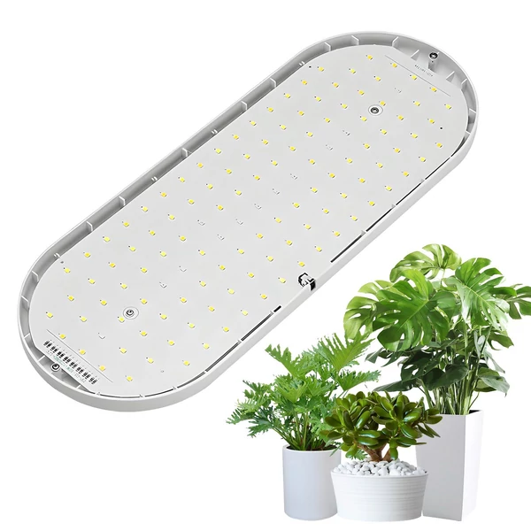 LED keltető lámpa teljes spektrumú 10 W 2 óra/4 óra/8 óra időzítő, 4 szabályozható fokozat - Fehér