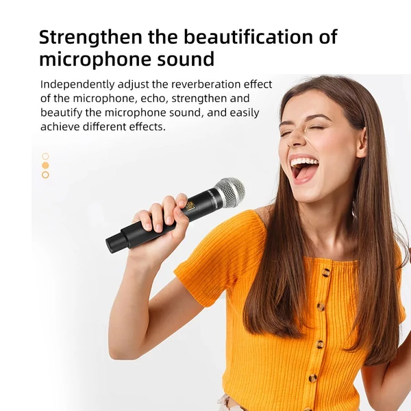 Professzionális Karaoke Mixer visszhangzó 99 DSP digitális hangeffektor