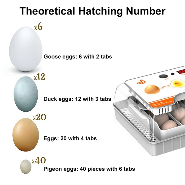 Inkubátor keltetőtojásokhoz Automatikus tojásforgató 20 tojás hatékony LED-es tojásmegvilágítású kijelző