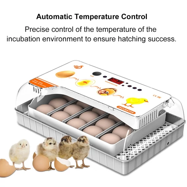 Inkubátor keltetőtojásokhoz Automatikus tojásforgató 20 tojás hatékony LED-es tojásmegvilágítású kijelző