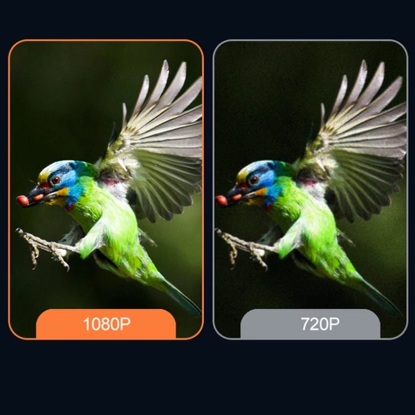 Madármegfigyelő kamera, napenergiával működő, éjjellátó 1080P mesterséges intelligenciával működő kamera