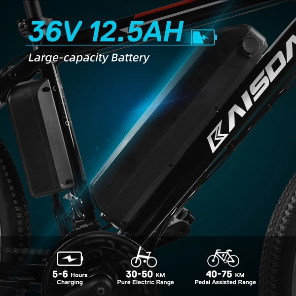 KAISDA K26M 26x1,95 hüvelykes gumi, 250 W-os motor elektromos városi kerékpár - Fekete